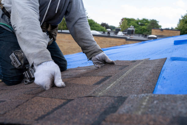 Best Roof Repair Services  in Lakefield, MN