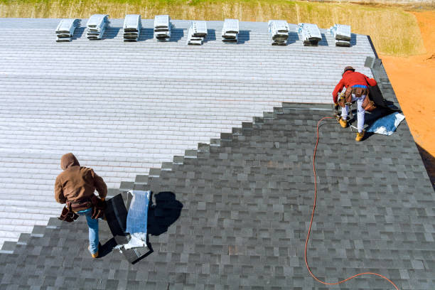 Best Flat Roof Repair Services  in Lakefield, MN