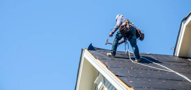 Best Roof Gutter Cleaning  in Lakefield, MN